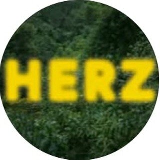 My Website